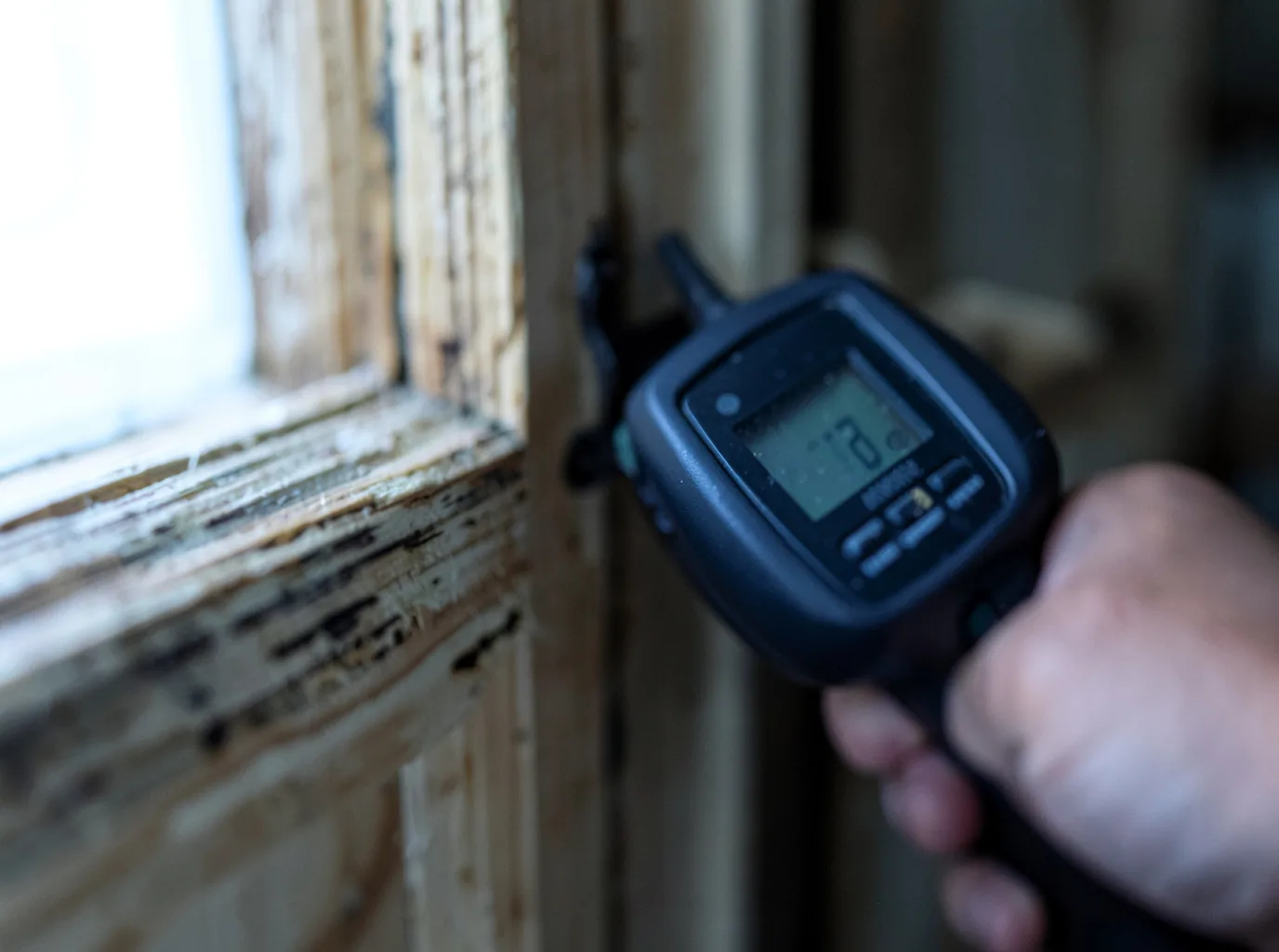 Moisture Inspection And Documentation in Lake Hughes, CA